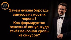 Зачем нужны борозды синусов на черепе? Как формируется венозный синус и куда течёт из него кровь?