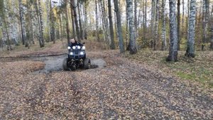 Квадроцикл Tiger(Тайгер) 250! Sport БОМБА!!!!