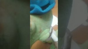 ПОЛУЧИЛ ДВОЙКИ В ШКОЛЕ! ЧТО ЗАДУМАЛ ГЕНА!
