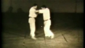 Йоко вакаре