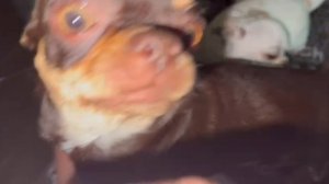 Доброго всем утра и чудесной пятницы.