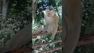 Подняться на гору и выжить