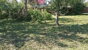 четыре дня в деревне /28-31.08.25