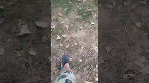 мы приехали на рыбалку.