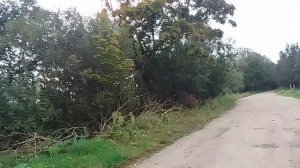 Осенняя природа, а так же🐐🐎🦮