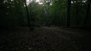 DJI_0088