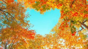 Очей очарованье