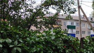 Осенний дождь в деревне, деревенский сентябрь