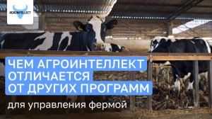 Чем Агроинтеллект отличается от других программ для управления фермой?