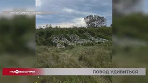 "По весточке": повод удивиться