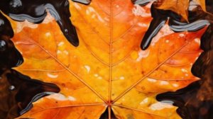 Желаю прекрасного настроения - Музыкальное пожелание