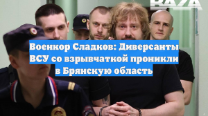 Военкор Сладков: Диверсанты ВСУ со взрывчаткой проникли в Брянскую область