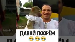 ДАВАЙ ПООРЁМ / СМОТРЕТЬ ВИДЕО ПРИКОЛЫ ОНЛАЙН БЕСПЛАТНО / СМЕШНЫЕ ТОП ПРИКОЛЫ БЕСПЛАТНО