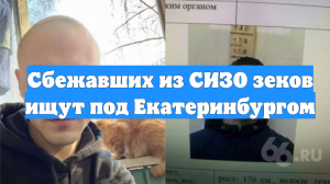 Сбежавших из СИЗО зеков ищут под Екатеринбургом