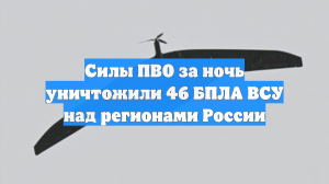Силы ПВО за ночь уничтожили 46 БПЛА ВСУ над регионами России