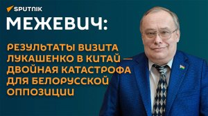Межевич о параде в Китае: прибалты в глубоком шоке, а Трамп обиделся