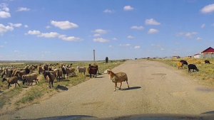 встретились как-то две афцы....