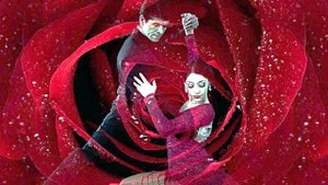 "ТОЛЬКО ТЕБЕ"  Любовь Пузикова,  СБОРНИК 19 клипов моих лучших танго. Музыка и монтаж  Л.Пузиковой