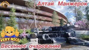 Алтайский Дубай - Манжерок. Сереневая красота и очарование🔥🔥🔥