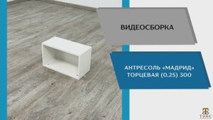 ТЭКС Видео сборка. Антресоль Мадрид торцевая (0,25) 300.