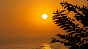 Дом в первухе