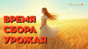 #БлагоВест ✴ ВРЕМЯ СБОРА УРОЖАЯ