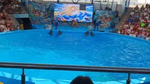 VID-20250826-WA0058.mp4