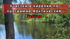 Обзор локаций по Арктическому Гектару в Карелии