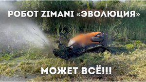 Робот на пульте управления ZimAni «ЭВОЛЮЦИЯ»