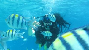 27.08-2025. Египет. Красное море. Дайвинг. 🤿