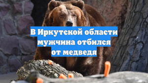 В Иркутской области мужчина отбился от медведя