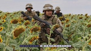Колумбийские наемники по ошибке вступил в бой с десантом ВСУ в Сумской области