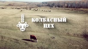 Колбасный цех ЗАО племзавод "ИРМЕНЬ"