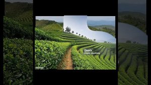 Люби Того, Кого омыла