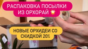 🟡ОБЗОР новых орхидей из ОРХОРАЙ со скидкой 20% Распаковка посылки #распаковка #обзорорхидей #орхи