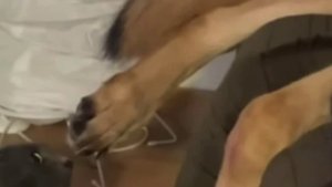 Штирлиц был близок к провалу😂