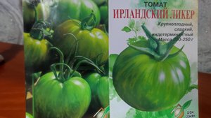 Новинки высокорослых зеленоплодных томатов на следующий сезон