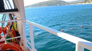 1000016209.mp4 Купание в открытом море.