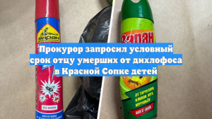 Прокурор запросил условный срок отцу умерших от дихлофоса в Красной Сопке детей