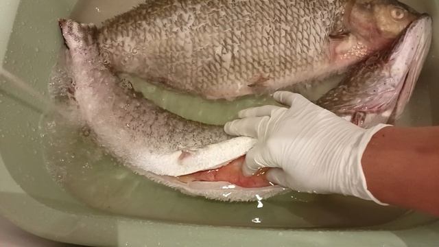 С чего я делаю рыбные консервы.