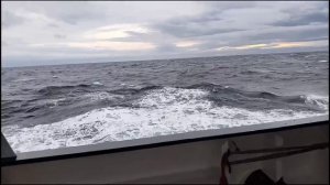 6d732dcb3be7526bf64dc41bc4f746bd.mp4