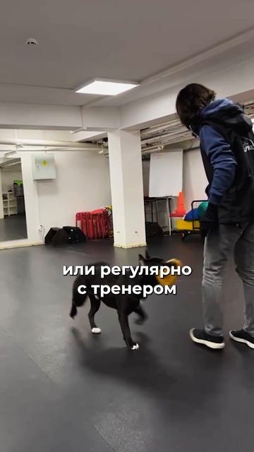 🎁Бесплатные уроки. Жми сюда! смотреть онлайн