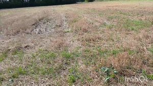 ЗАЕХАЛ ПРОВЕРИТЬ НОВОЕ МЕСТО, КОП СТАРИНЫ