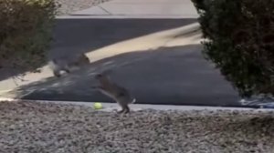 Один из них явно косой😳🤣