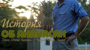 История_об_ананасах_посвящение_всего_себя_Богу_Отто_Конинг_Otto