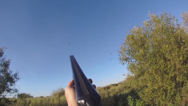 Открытие Охоты. Осень, 2025. Часть 3: Разведка новых. Охота с подхода на днёвке. Вечерняя зорька. смотреть онлайн