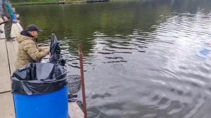 На железо