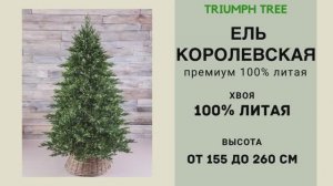 Triumph Tree - ОБЗОР искусственной ели Королевская премиум 100% литая