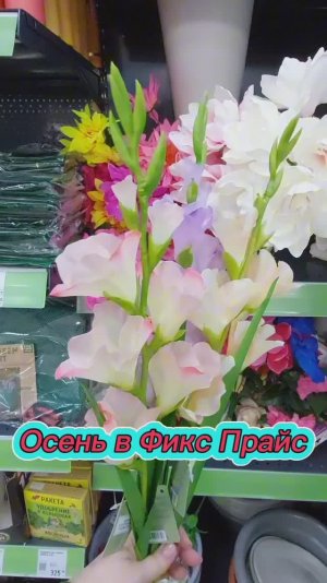 Фикс Прайс осенние новинки каждый найдет для себя нужное. Нячанг вечерний концерт возле кафе