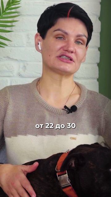 🎁Бесплатные уроки. Жми сюда! смотреть онлайн